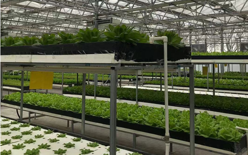 恒峰g22-官网入口--天天有惊喜